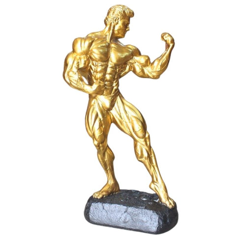 Homme Statue Musculation