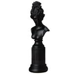 Buste Statue Grecque Noir.