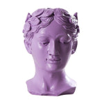 Tête Statue Grecque Violette.